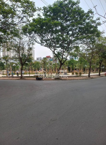 Đất tại đấu giá Mậu Lương Kiến Hưng 60m.12 tỷ