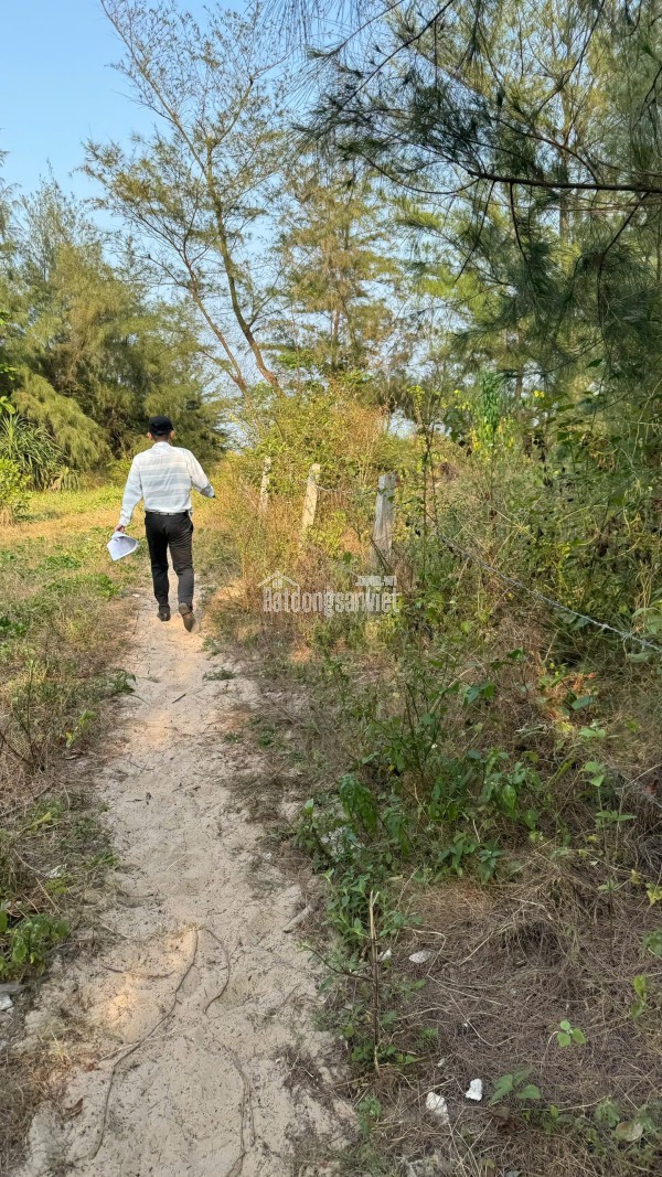 Chính chủ cần bán đất mặt biển Bình Minh sát Vinpearl Nam Hội An