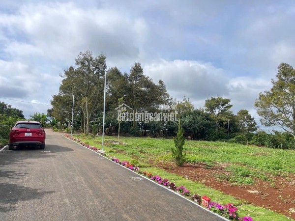 Bán đất xã liên hiệp đức trọng 970 triệu- sổ riêng đất xây dựng