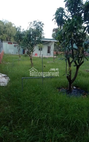 Lô đất Vũng Tàu rộng 548m2, Cách vòng xoay QL51 và Đường ven biển chỉ 500m.