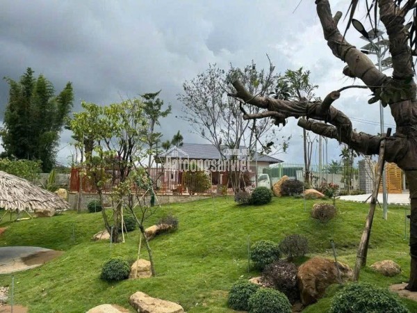 CHO THUÊ NHÀ NGUYÊN CĂN - TRUNG TÂM TP. ĐÀ LẠT 5 PHÒNG NGỦ GIÁ 12 TR/ THÁNG