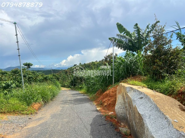 Vị trí vàng:

Thuộc xã Lộc Đức, TP. Bảo Lộc – Lâm Đồng