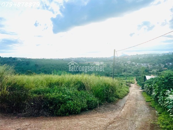 📌 Sửa chữa – Cải tạo nhà Bảo Lộc 📌
Bạn cần làm mới lại ngôi nhà cũ, hay chỉ muốn sơn sửa vài