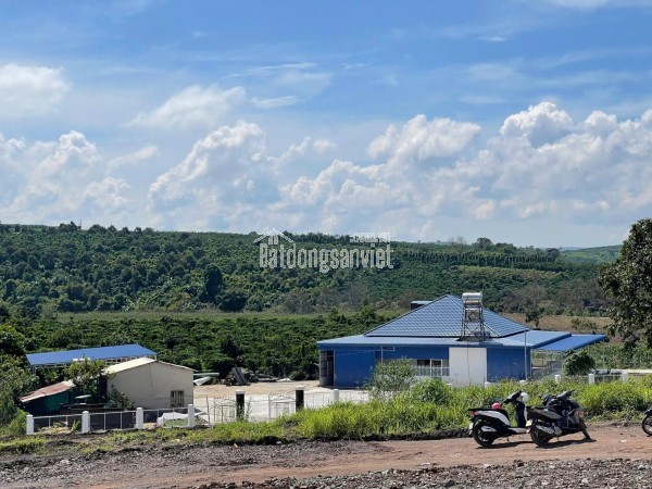 BÁN 1000m² ĐẤT ĐẸP – GIÁ 630 TRIỆU - Vị trí: Tân Hà, Lâm Hà, Lâm Đồng