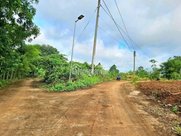 GẤP- SIÊU RẺ – BÁN LÔ ĐẤT SÀO GIÁ CHỈ 290 TRIỆU- HỚN QUẢN - BÌNH PHƯỚC