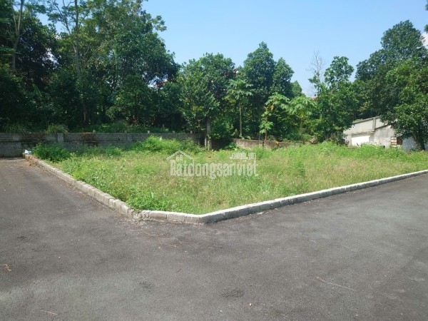 Bán Đất đệp đáng đầu tư Xuân Khanh, Sơn tây 111m2 MT 7.55m, giá rẻ mua ngay có lãi liền tay.