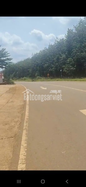 Nghĩa Trung, Bù Đăng. Mặt tiền ĐƯỜNG TỈNH 312, Mặt bằng kinh doanh rộng 515m2.