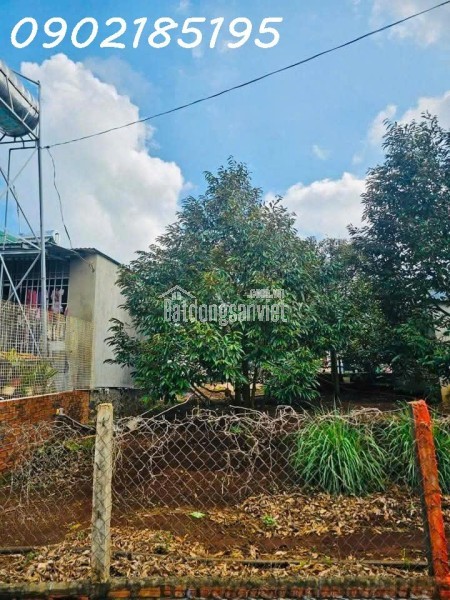 LÔ ĐẤT SỔ ĐỎ THỔ CƯ – PHƯỜNG TÂN LỢI – BUÔN MA THUỘT, CÁCH TRƯỜNG ĐẠI HỌC Y DƯỢC BUÔN MA THUỘT 4