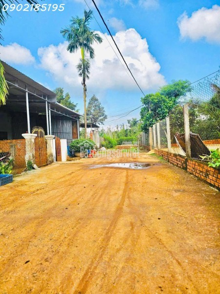 LÔ ĐẤT SỔ ĐỎ THỔ CƯ – PHƯỜNG TÂN LỢI – BUÔN MA THUỘT, CÁCH TRƯỜNG ĐẠI HỌC Y DƯỢC BUÔN MA THUỘT 4