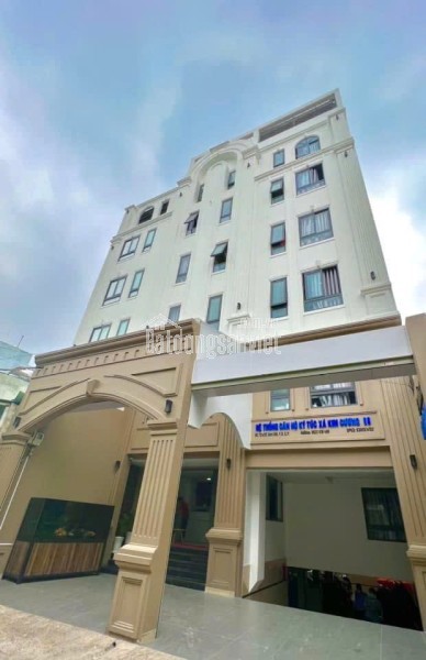 Chính Chủ Bán HXH Xóm Đất, Phường 8, Quận 11: Diện Tích Khủng (14x20m), Giá Tốt 56 Tỷ!