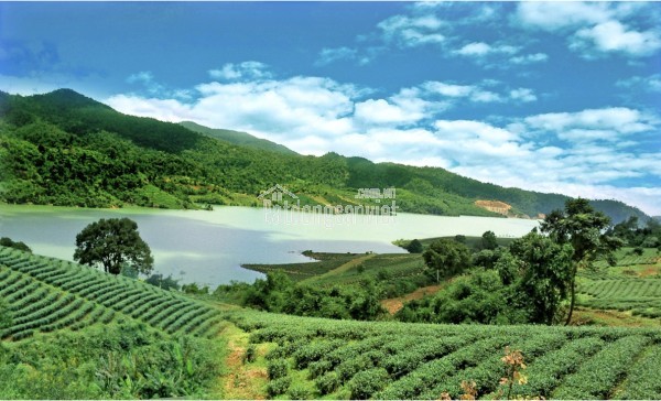 SỞ HỮU LÔ ĐẤT ĐẸP TRONG SUN VALLEY FARM – VIEW ĐỒI XANH, KHÍ HẬU MÁT LÀNH
