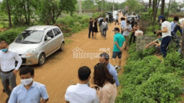 3 Lô đất đẹp trung tâm Nghi Thái – Giá chỉ từ 16tr/m² – Tặng 2 chỉ vàng 9999