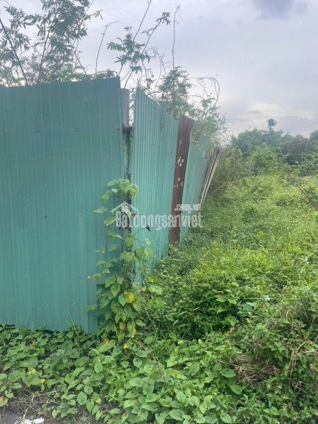 SIÊU PHẨM ĐẤT (46x134) MẶT TIỀN TRƯƠNG THỊ NHƯ, XUÂN THỚI SƠN, HÓC MÔN