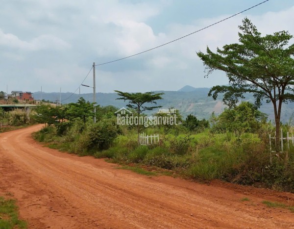 💎 ĐẤT NỀN ĐỒI ĐẸP GẦN HÒN ĐÁ BẢO LÂM, ĐÓN SÓNG CAO TỐC TÂN PHÚ – BẢO LỘC!