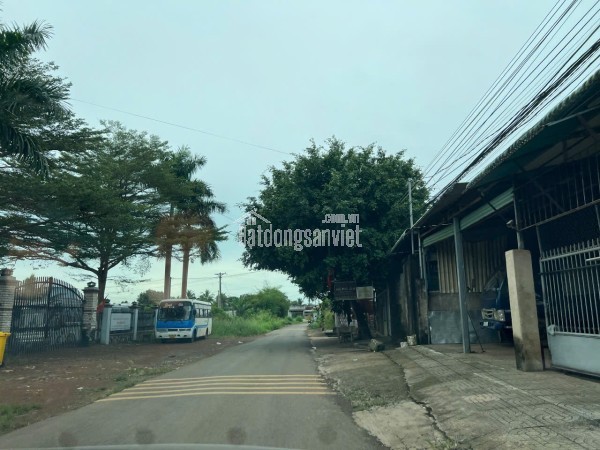 Bán đất thổ cư có sổ hồng riêng Trảng Bom, tỉnh Đồng Nai