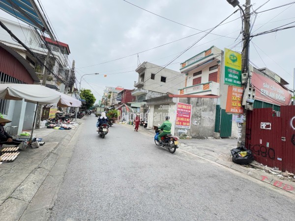 Bán nhanh 2 lô liền nhau mặt đường 203 Cái Tắt, An Đồng, Hải Phòng