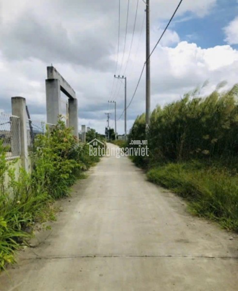 CHÍNH CHỦ CẦN BÁN 1000m² ĐẤT ĐẸP – CÁCH ĐƯỜNG RỪNG SÁC CHỈ 400M – BÌNH KHÁNH, CẦN GIỜ