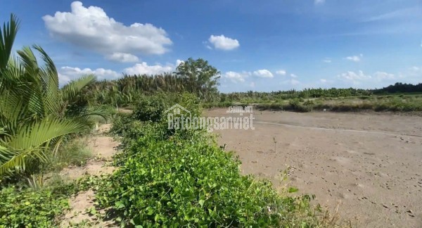 CHÍNH CHỦ CẦN BÁN 1000m² ĐẤT ĐẸP – CÁCH ĐƯỜNG RỪNG SÁC CHỈ 400M – BÌNH KHÁNH, CẦN GIỜ