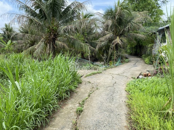 Đất nền vuông vức 285m2 tại Phú Tân, TP Bến Tre – giá rẻ bất ngờ!