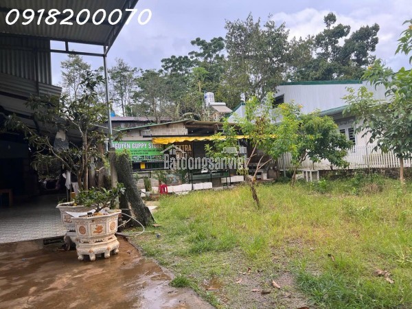 Chính chủ cần bán nhà đang ở tại Bảo Lộc, Lâm Đồng