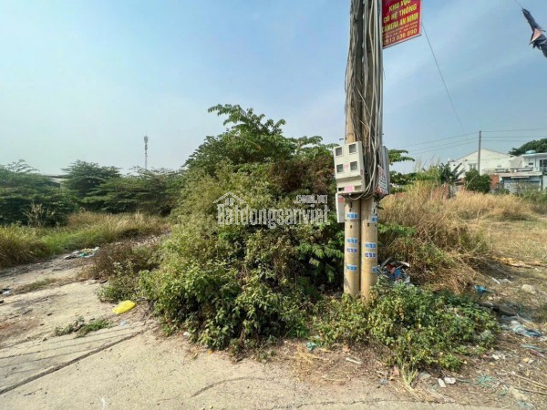 Chính chủ gửi bán đất ngay Mỹ Thuận-Long Mỹ-Bà Rịa (Phước Hải Long Đất mới,gần trường cấp 3 Dương