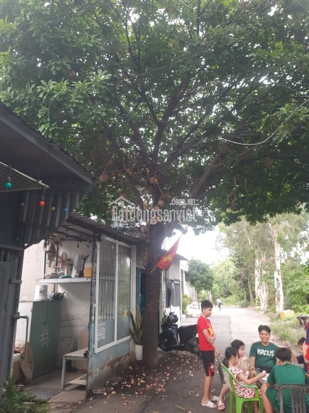 Căn nhà 30m² cực rẻ chỉ 1,32ty Phường Thạnh Xuân Quận 12