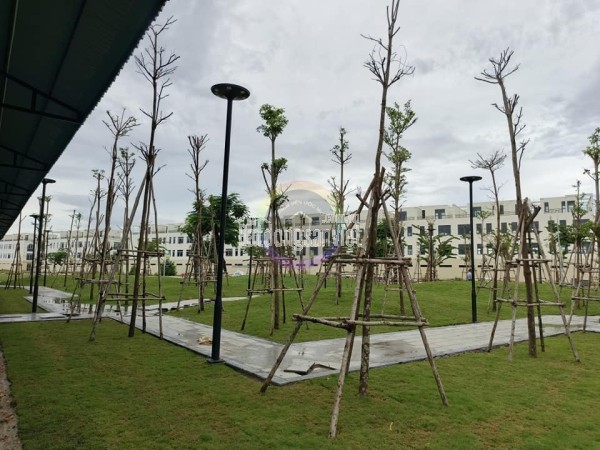 Bán đất nền dự án sổ đỏ có sẵn ở Quy Nhơn- Bình Định