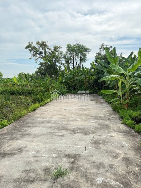 LÔ 61.6M² – NGÕ 4M Ô TÔ TẢI QUAY ĐẦU – GIÁ HIẾM 9XX TRIỆU  ZALO 0567 222 555