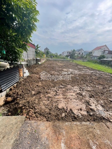 LÔ ĐOÀN XÁ 4 – MẶT ĐƯỜNG NHỰA 6M – GIÁ CHỈ 2.2X TỶ – ĐÓN SÓNG CẢNG BIỂN  ZALO 0567 222 555