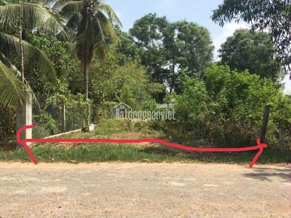 Đất nền cực phẩm ở Hùng Vương, xã Vĩnh Thanh, Nhơn Trạch, Đồng Nai.