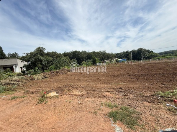 ĐẤT ĐẸP – GIÁ ĐẦU TƯ  - CẦN BÁN LÔ ĐẤT TẠI Xã An Linh, Huyện Phú Giáo, Bình Dương