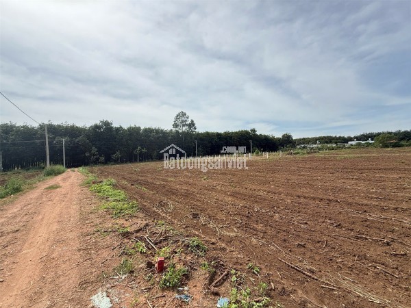 ĐẤT ĐẸP – GIÁ ĐẦU TƯ  - CẦN BÁN LÔ ĐẤT TẠI Xã An Linh, Huyện Phú Giáo, Bình Dương