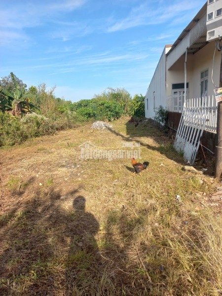 SỞ HỮU NGAY LÔ ĐẤT ĐẸP - GIÁ TỐT - Vị Trí Đắc Địa Tại Thôn 2, Xã Lộc Quảng, Huyện Bảo Lâm, Lâm Đồng