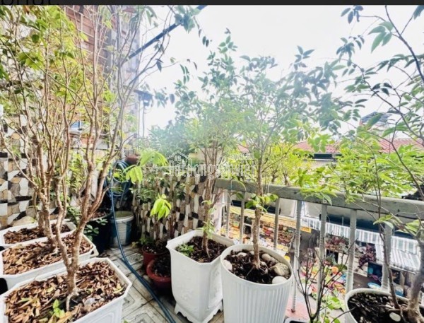 🔥Bán Nhà Mặt Tiền Chợ đường Hoàng Minh Đạo P5, Q8 -  Giá chỉ 10,6 Tỷ 🤑