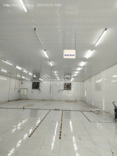 Bán gấp giá rẻ căn hộ đẹp Trường Chinh 26m, tầng1, mặt tiền 4m, 1.1 tỷ Đống Đa.