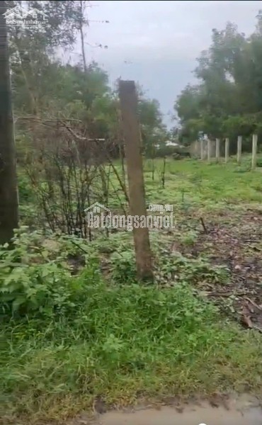 Chính Chủ Bán 1167,3m2 Đất Tại Xã Nghĩa Thuận, Huyện Tư Nghĩa, Tỉnh Quảng Ngãi.