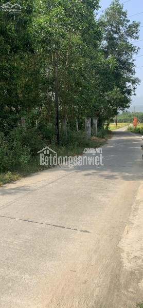 Chính Chủ Bán 1167,3m2 Đất Tại Xã Nghĩa Thuận, Huyện Tư Nghĩa, Tỉnh Quảng Ngãi.