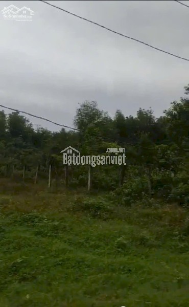 Chính Chủ Bán 1167,3m2 Đất Tại Xã Nghĩa Thuận, Huyện Tư Nghĩa, Tỉnh Quảng Ngãi.