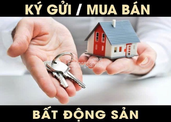 Tiếp Nhận Giao Dịch – Ký Gửi
Đất Nền – Nhà Dân
tại

Sơn Tây

Liên hệ
0972.078.667