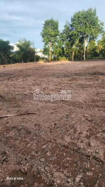 Siêu phẩm đất phú quốc 1.000m² giá tốt hiếm có