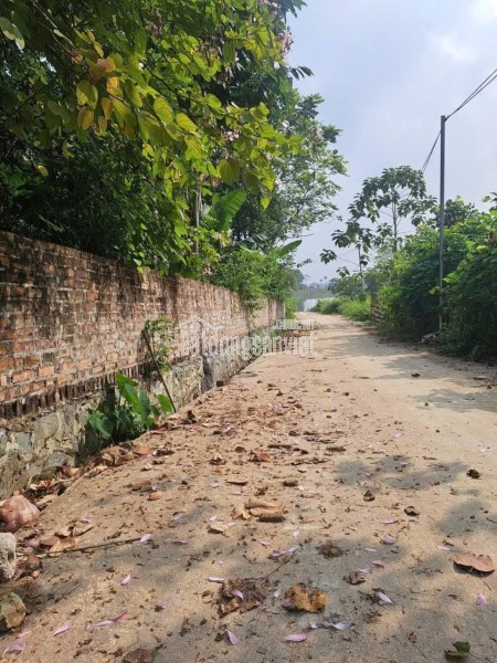 SỞ HỮU NGAY LÔ ĐẤT ĐẸP - GIÁ TỐT - Vị Trí Đắc Địa Tại Xã Đông Xuân, Huyện Quốc Oai, TPHN