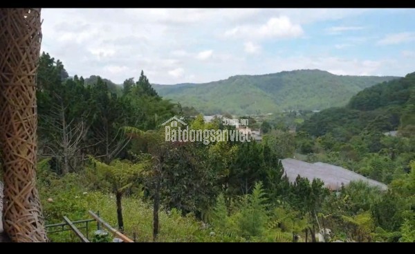 Siêu Phẩm Đất Rộng View Đẹp 14.000m2 Mặt Tiền Mimoza – Giảm Giá Bán Gấp Còn 42 Tỷ