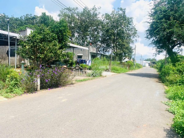 Cần bán gấp nền đất 250m² mặt tiền đường nhựa, dân cư đông đúc, trong lòng KCN