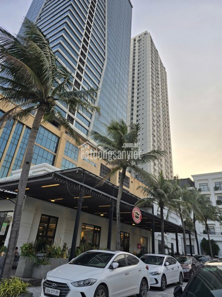 Vị trí vàng Đà Nẵng: Đất nền Cẩm Lệ, Bình Hòa 2, 83m2 sổ đỏ, hướng Đông, giá 8.6 tỷ, xây nhà 3