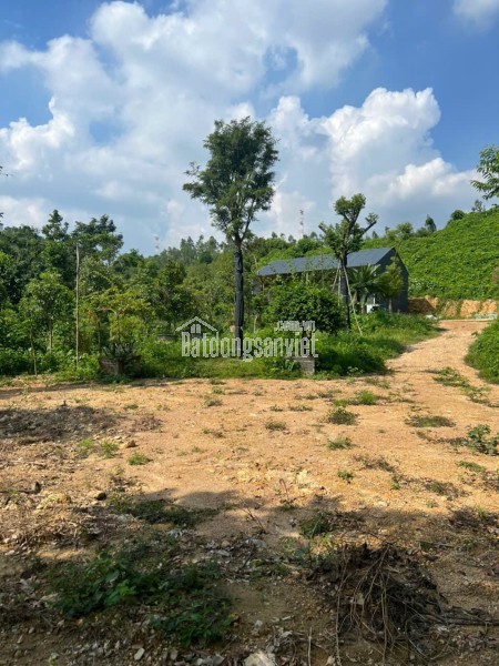 ĐẤT CHÍNH CHỦ ĐẸP  –  GIÁ TỐT  –  CẦN BÁN Khu Vực An Hưng, Phường Phú Thứ, Cái Răng - Cần Thơ