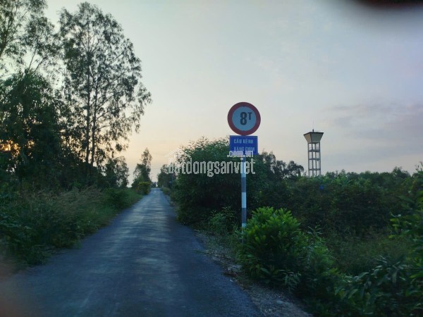 ĐẤT ĐẸP – GIÁ TỐT  – CHÍNH CHỦ CẦN BÁN TẠi DT867, ấp Mỹ Thuận, Thạnh Mỹ, Huyện Tân Phước, Tiền