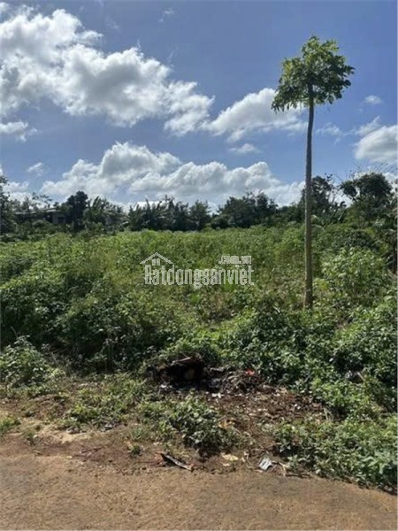 HOT HOT – CHÍNH CHỦ CẦN BÁN LÔ ĐẤT TẠI Xã Hòa Khánh, Thành phố Buôn Ma Thuột, Tỉnh Đắk Lắk