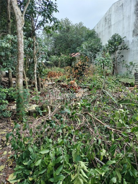 🌟 SIÊU PHẨM ĐẤT HIẾM TẠI BÌNH KỲ - Ô TÔ ĐỖ TẬN NƠI 🌟