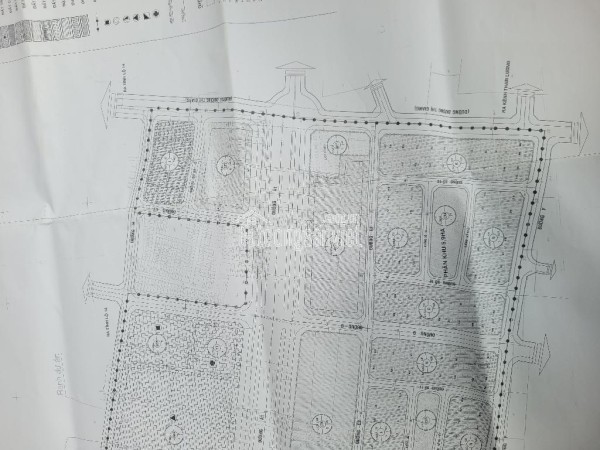 Cần bán gấp lô đất 4m x 22.3m – KDC 38ha P. Đông Hưng Thuận – TPHCM