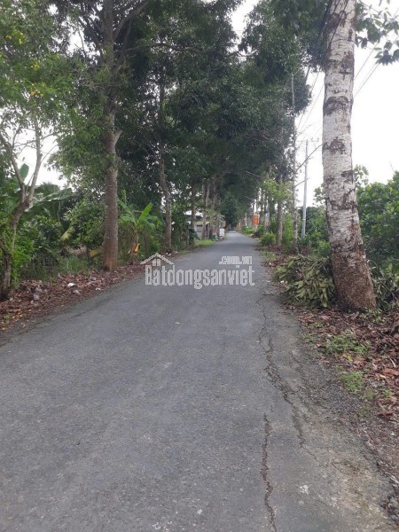 NHÀ ĐẸP – GIÁ TỐT - BÁN NHÀ Vị Trí Đắc Địa TẠI Phường 7, Quận tân bình, TP HCM